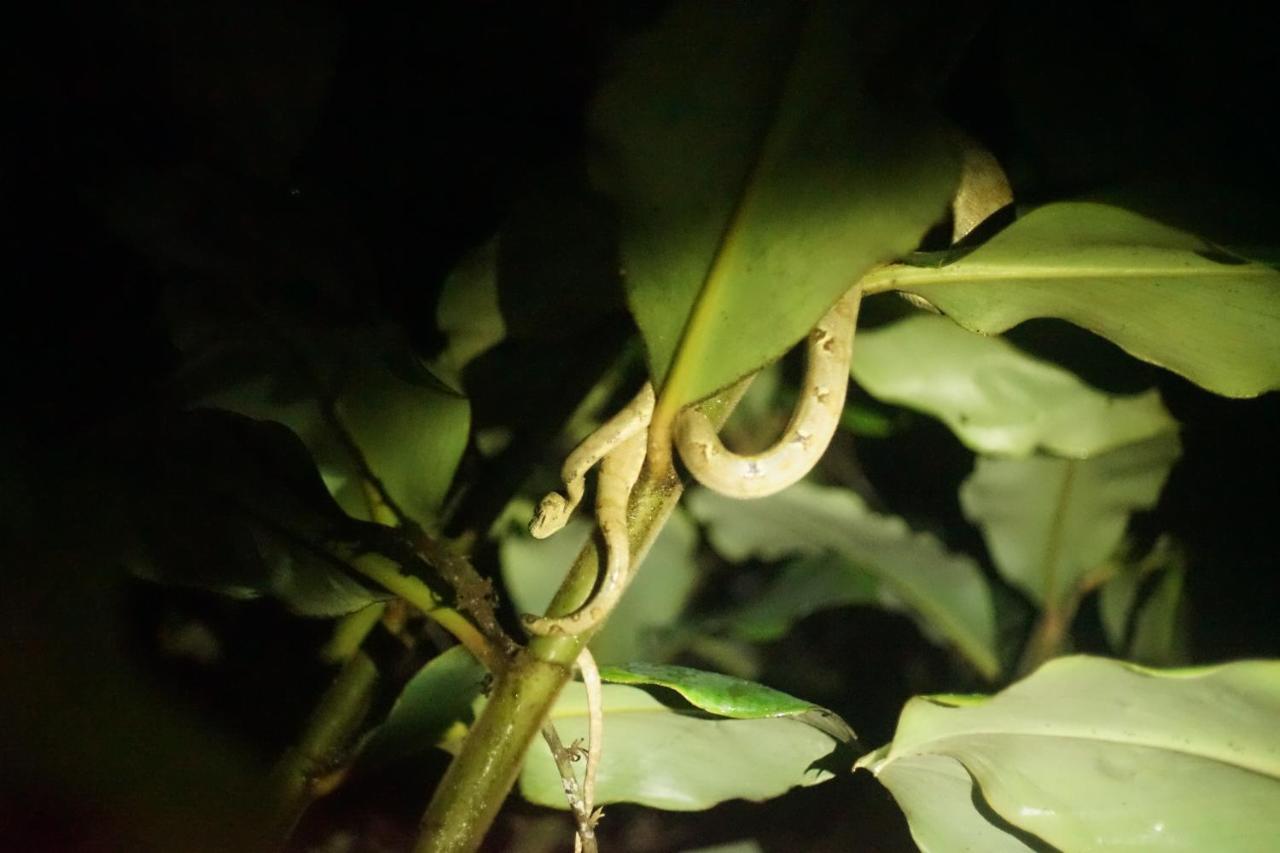 Shipati Lodge Misahualli Luaran gambar